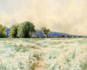 阿尔弗雷德 汤普森 布雷奇 : The Daisy Field